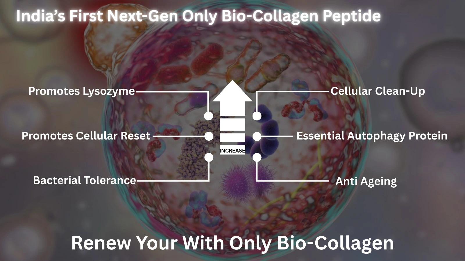 Only Bio-Collagen campaign visual alternate